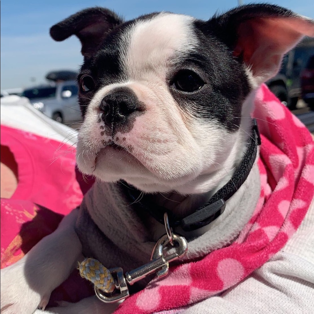 Meet your Posher, Hallie